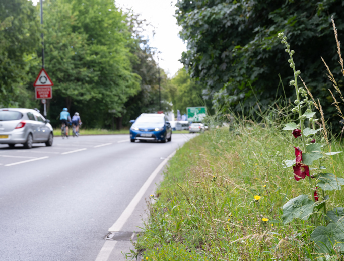 Cars and bicycles travelling along a street